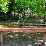 photo 2021-05-09 08-01-17