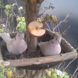 photo 2019-12-05 13-02-17