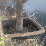 photo 2019-12-25 14-34-38