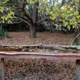 photo 2021-10-19 16-35-16