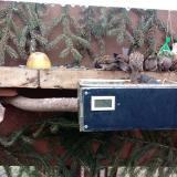 photo 2021-02-08 09-39-03