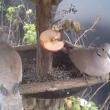 photo 2019-12-05 13-02-22