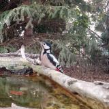 photo 2023-10-12 17-39-48