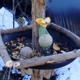 photo 2019-01-14 12-45-59