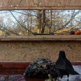 photo 2022-01-24 14-56-36