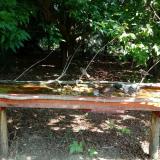 photo 2021-07-23 10-44-44