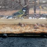 photo 2021-11-10 09-59-56