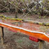 photo 2021-04-01 16-47-52