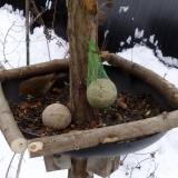 photo 2019-01-12 10-12-40