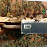 photo 2021-02-14 14-08-31