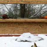 photo 2022-01-22 09-33-57