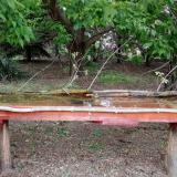 photo 2021-05-06 19-20-02