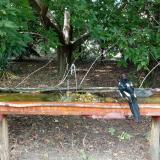 photo 2021-08-23 15-09-20