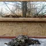 photo 2022-01-19 15-34-46