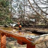 photo 2022-03-19 09-40-40