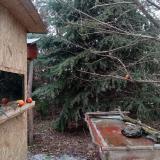 photo 2021-12-27 13-44-28