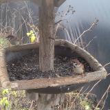 photo 2019-12-25 10-42-12