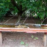 photo 2021-07-23 17-01-48