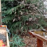 photo 2021-11-14 09-57-04