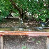 photo 2021-08-03 15-26-21