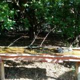 photo 2021-09-12 09-16-58