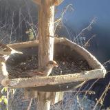 photo 2019-12-30 14-24-06