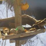 photo 2019-01-27 09-13-36