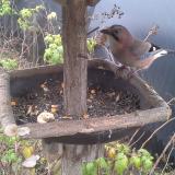 photo 2019-12-09 14-16-07