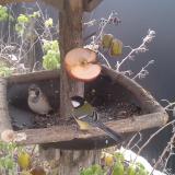 photo 2019-12-04 10-08-58