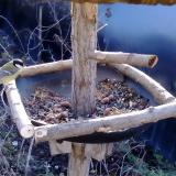 photo 2019-01-02 09-57-56