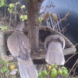 photo 2019-12-09 12-28-22