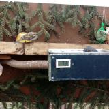 photo 2021-02-06 10-26-49