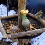 photo 2019-01-14 11-44-11