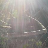 photo 2019-12-15 09-23-25