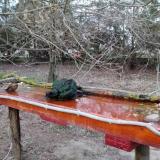 photo 2021-03-21 18-03-06