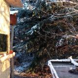 photo 2022-01-09 08-28-10