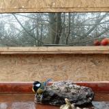 photo 2022-01-31 14-10-19