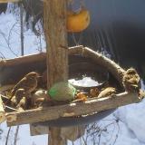 photo 2019-01-27 09-54-42