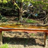 photo 2021-04-21 09-59-54