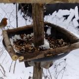 photo 2019-01-06 11-56-41