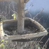 photo 2019-12-26 09-58-27