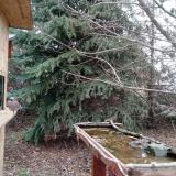 photo 2021-12-12 11-44-37