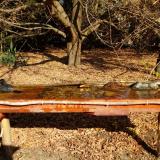 photo 2021-10-27 11-01-35