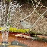 photo 2021-03-30 13-12-32 baratposzata him