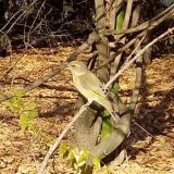 photo 2021-10-27 14-09-32 fuzike