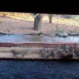 photo 2021-12-04 15-05-00