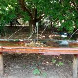 photo 2021-07-22 15-35-04