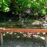 photo 2021-05-08 11-16-02