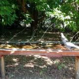 photo 2021-07-01 10-11-53