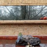 photo 2022-01-31 10-32-32